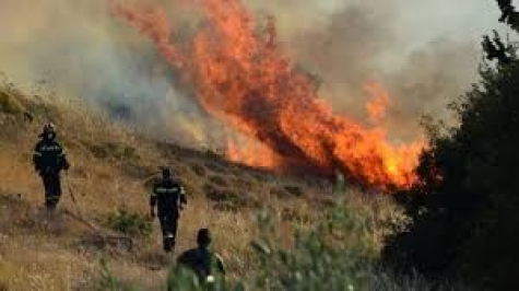 Σε ετοιμότητα ο Δήμος Λαυρεωτικής λόγω του υψηλού κινδύνου πυρκαγιάς
