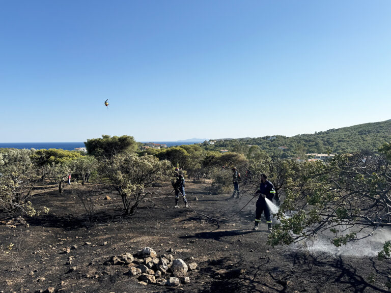 Άμεση αντιμετώπιση της επικίνδυνης φωτιάς που εκδηλώθηκε στον οικισμό Κάτω Ποσειδωνία Λαυρίου